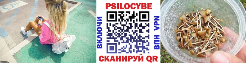 площадка формула  Красноуфимск  Псилоцибиновые грибы Psilocybe 